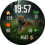 Grassy Predator