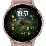 Grassy Predator · 截图 1