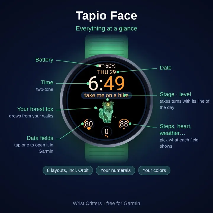 Tapio Face – 錶面上的森林狐狸 · Képernyőkép 0