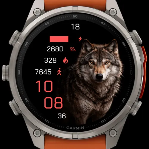 Alpha Wolf