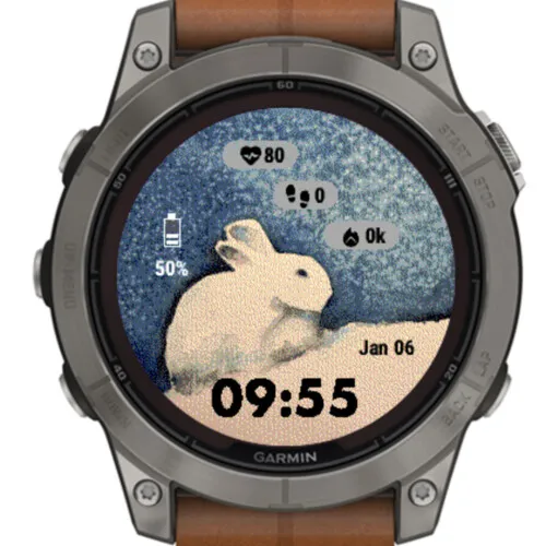 Winter Rabbit – Watercolor · 截图 0