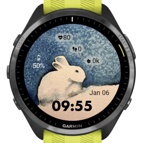 Winter Rabbit – Watercolor · 截图 1