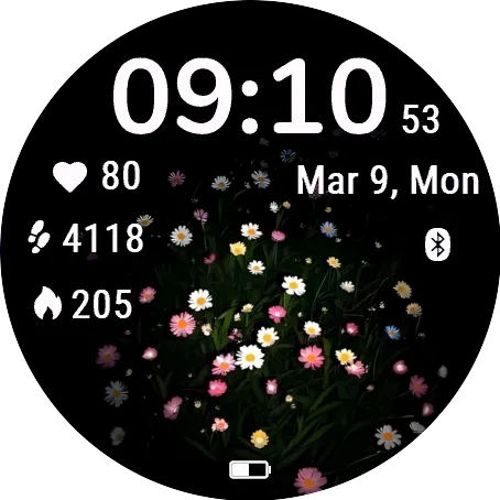 Midnight Garden