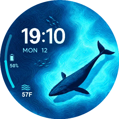Whale Contours
