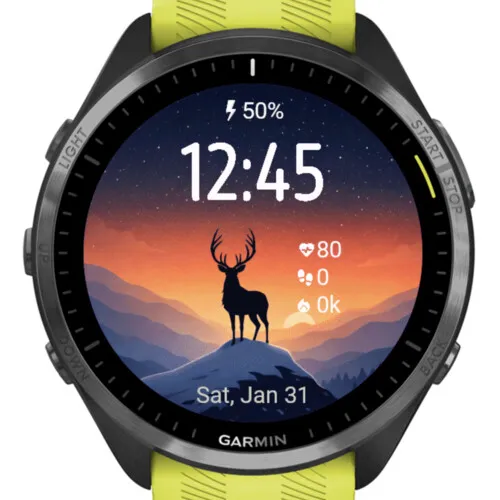 Stag at Sunset · Screenshot 0