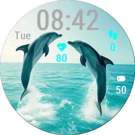 Happy Dolphins