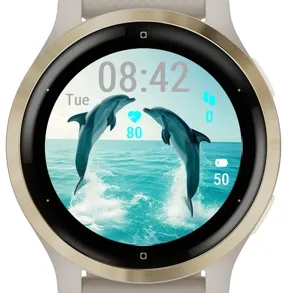 Happy Dolphins · Skjermbilde 3