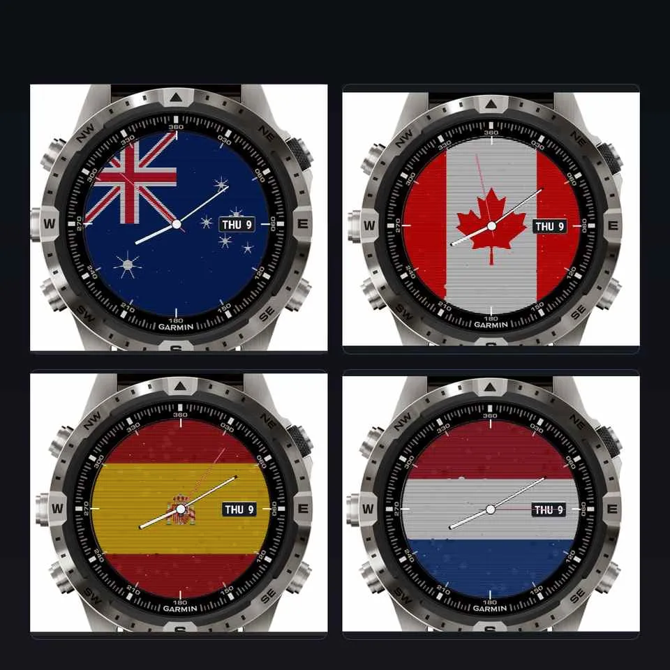 Flag Pro · Captura de tela 0