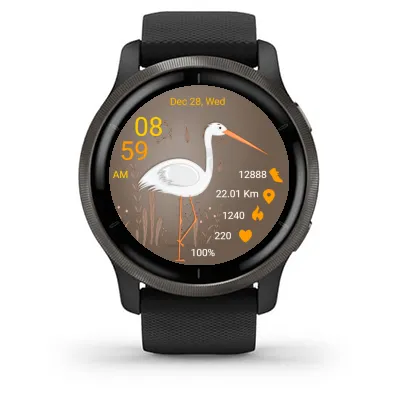 Bird 03 · Skjermbilde 1