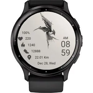 Bird 02