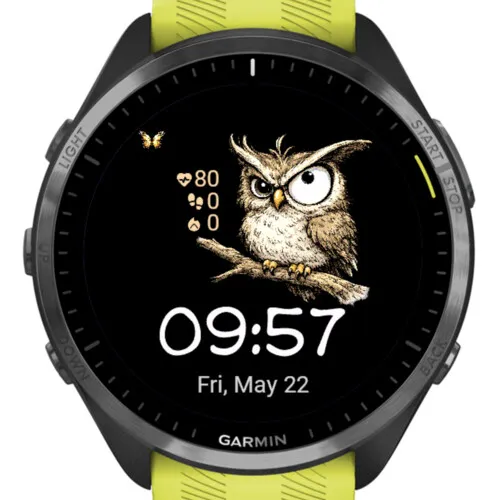 Funny Owl · 截图 2