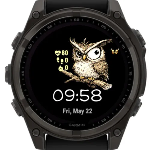 Funny Owl · 截图 3