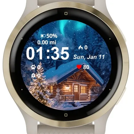 Cabin Snow Aurora · 截图 1