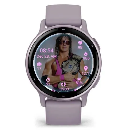 WWF Superstar Bret Hart · 截图 0