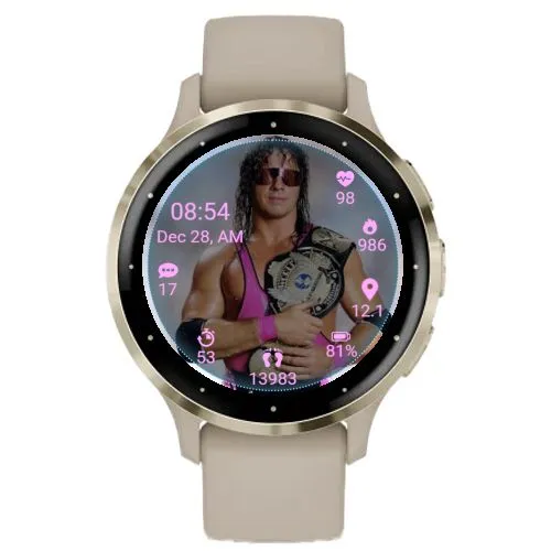 WWF Superstar Bret Hart · 截图 1