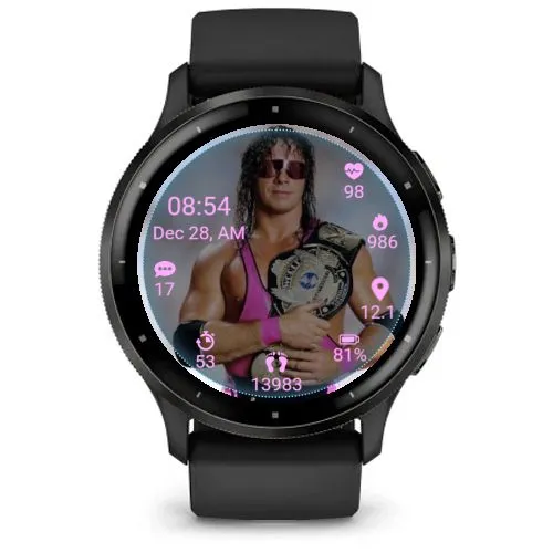 WWF Superstar Bret Hart · 截图 2