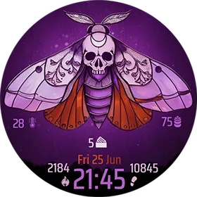Skull Moth
