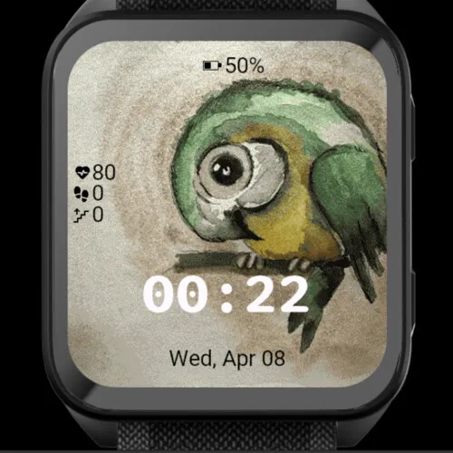 Little Parrot · Screenshot 1