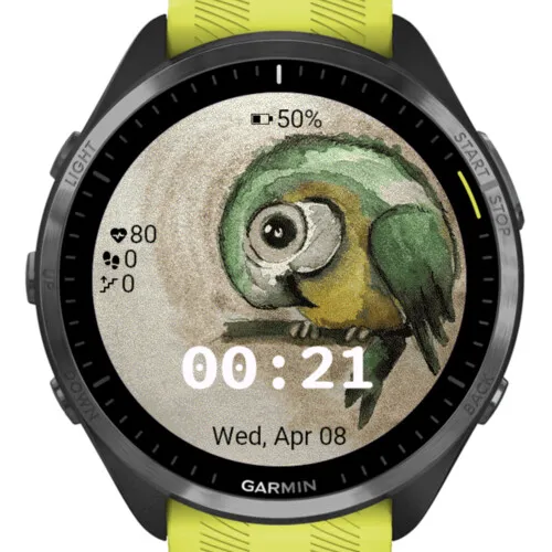 Little Parrot · Screenshot 2