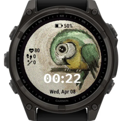 Little Parrot · Screenshot 3