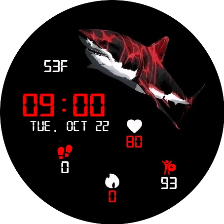 Ocean Predator
