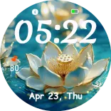 ‌Lotus‌