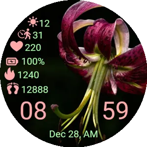 Tiger Lily