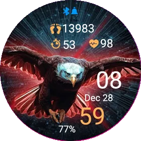 Hawk