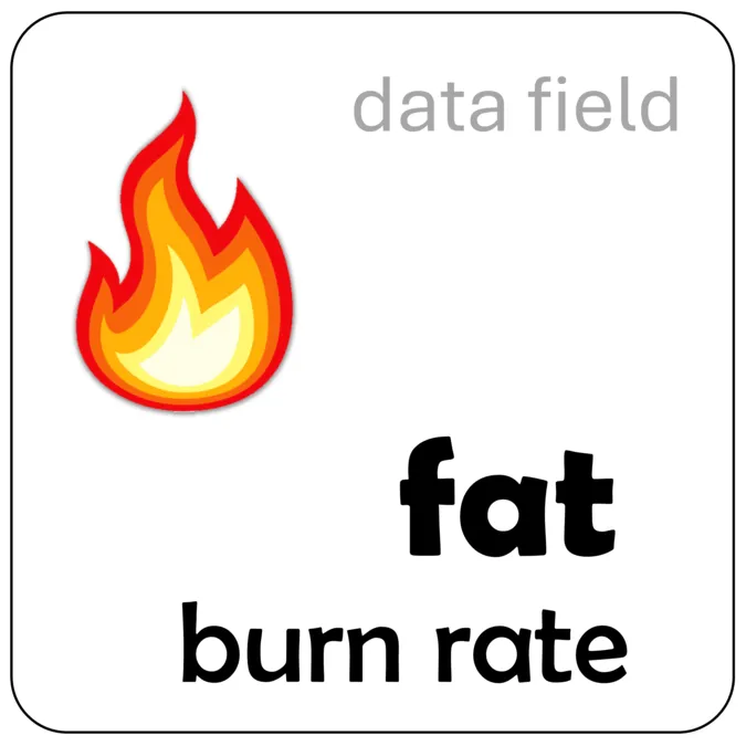 Fat burn rate
