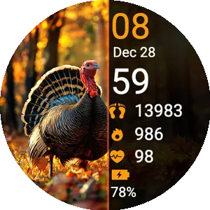Thanksgiving time