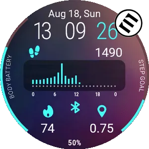 StepTrack Pro