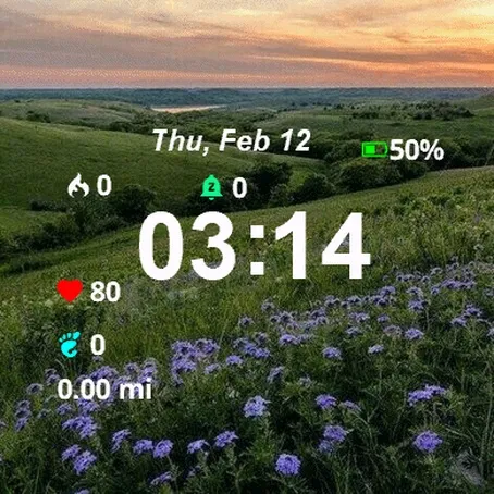 Field Flowers Sunset