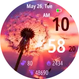 Wish Seed