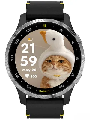 Little silly cat · スクリーンショット 1