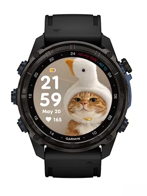 Little silly cat · スクリーンショット 2