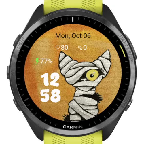 Halloween Mummy Cat · 截图 2