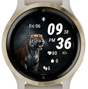 Roar Tiger · 螢幕截圖 2