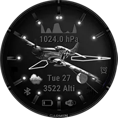 Steel Wings B&W Design 390