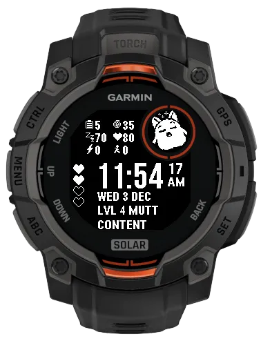 Garmigotchi