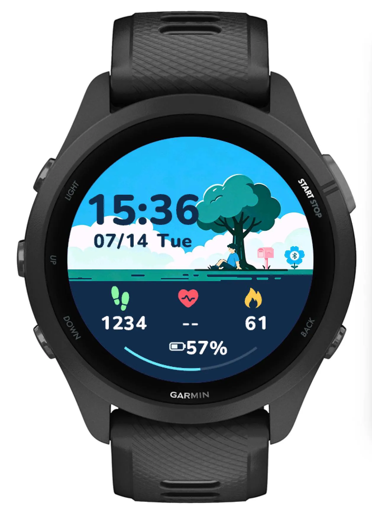 Newton 气象窗表盘 | ZingFace · 截图 2