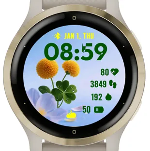 Small Chrysanthemum · Screenshot 1