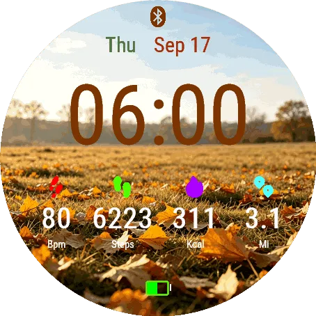 Autumn Field