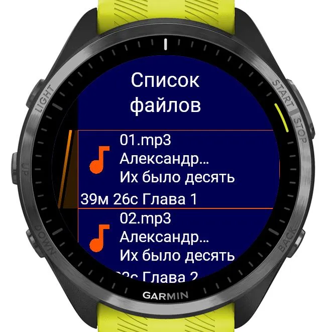 Audiobooks Orange (for litres.ru) · Schermafbeelding 3