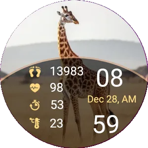 Giraffe