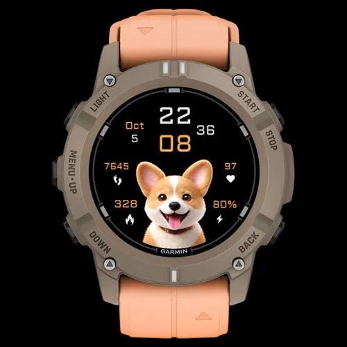 Corgi Digital · 截图 2
