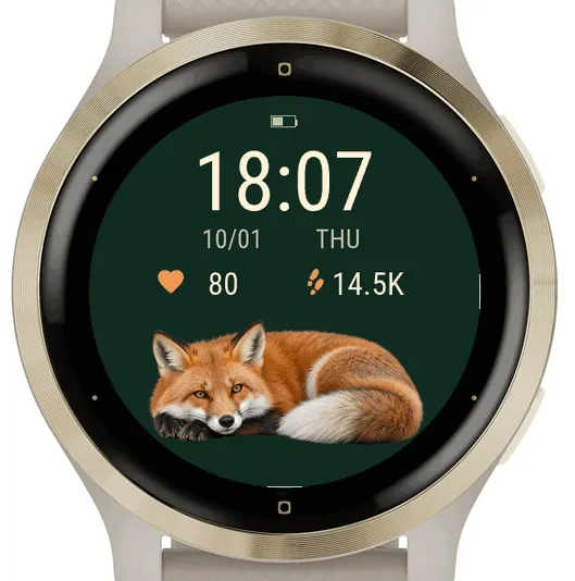 forest fox · Snímek obrazovky 2