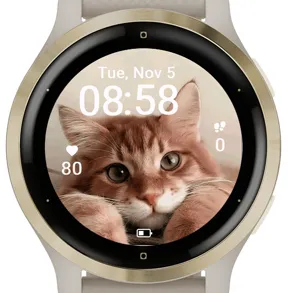Orange Cat · Captura de ecrã 3
