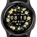 Daisy Ring · 스크린샷 3