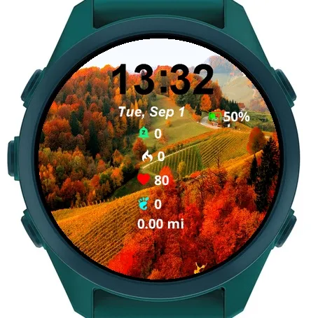 View Fall Foliage Shown · 截图 2