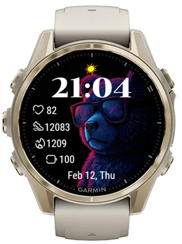 Spectacled Bear